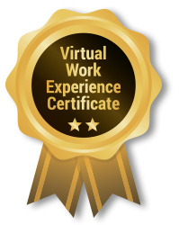 Virtual Work Experience Certificate