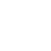 certificate icon